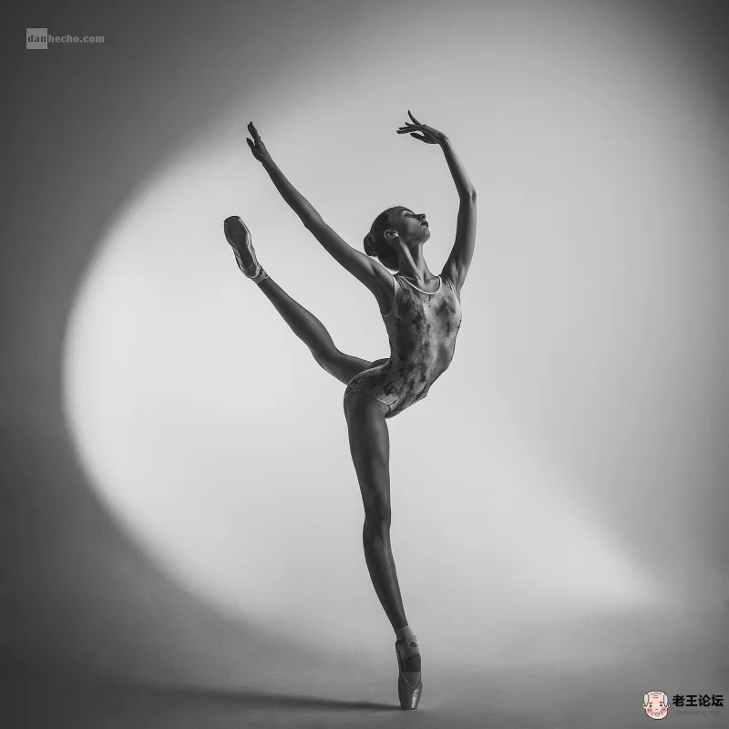 ballet as art by DanHecho on DeviantArt 3.jpg